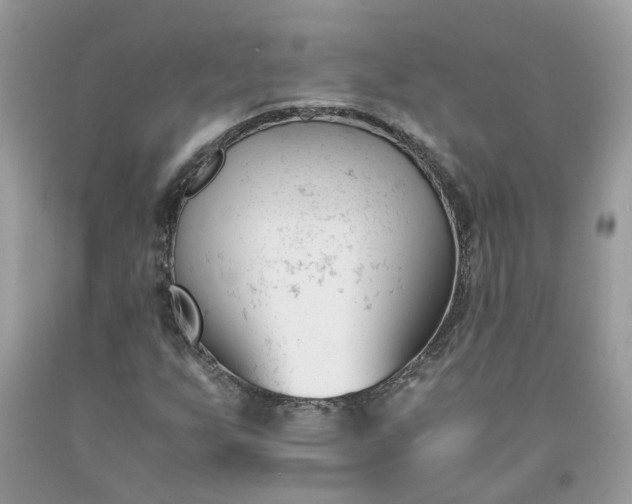 X0000091661255200709061013