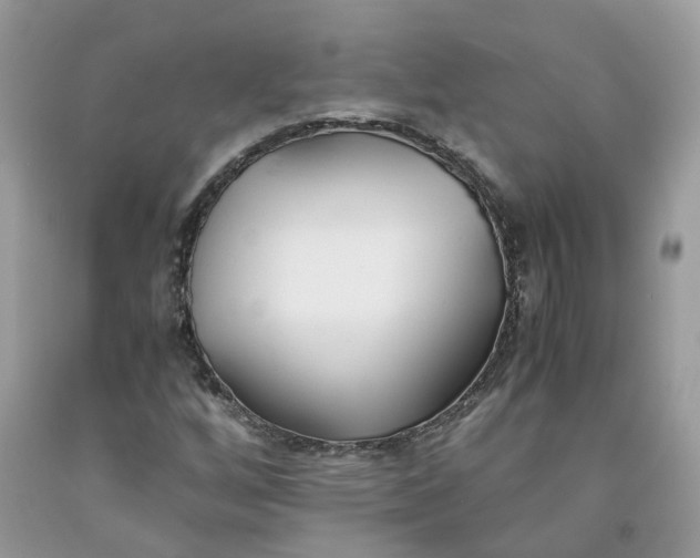 X0000091661256200709061013