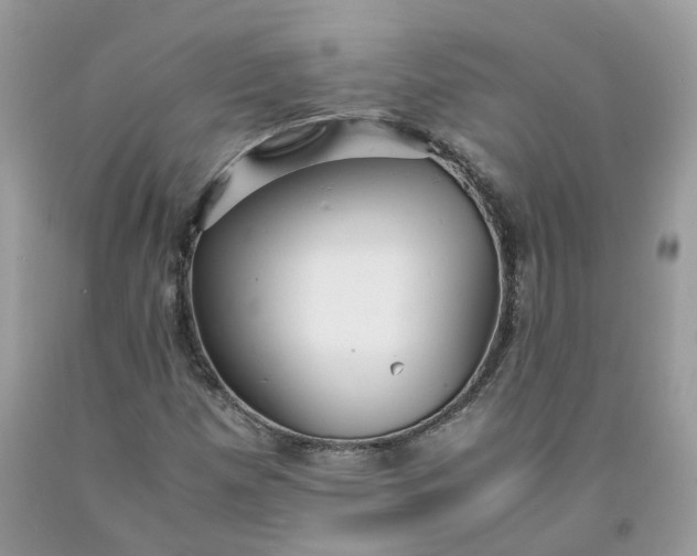 X0000091661257200709061013