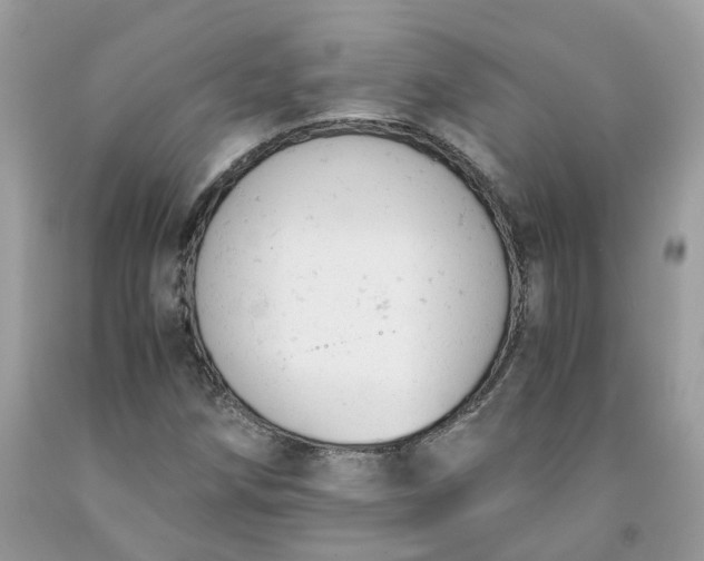 X0000091661258200709061013