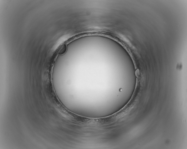 X0000091661259200709061013