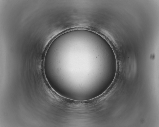 X0000091661260200709061013