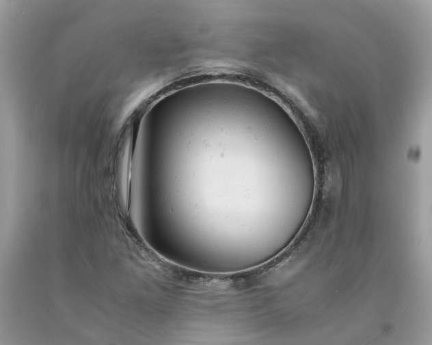 X0000091661261200709061013