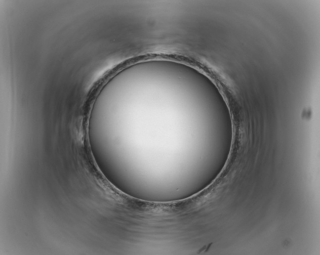 X0000091661262200709061012