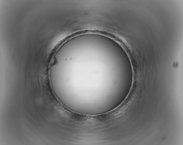 X0000091661263200709061012