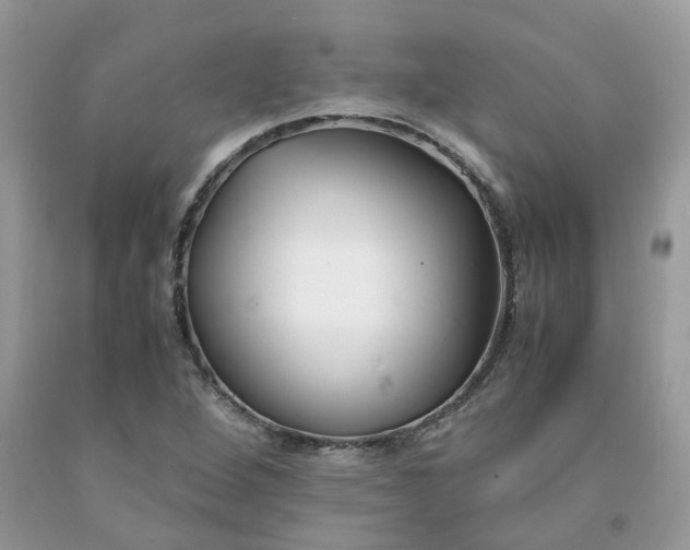 X0000091661264200709061012