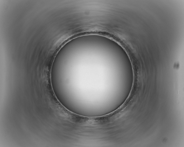 X0000091661265200709061012