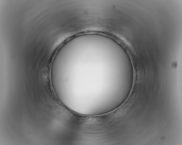 X0000091661266200709061012