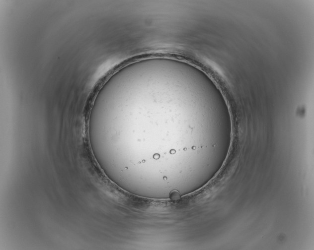 X0000091661267200709061012