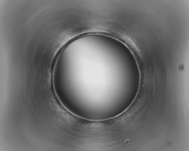 X0000091661268200709061012