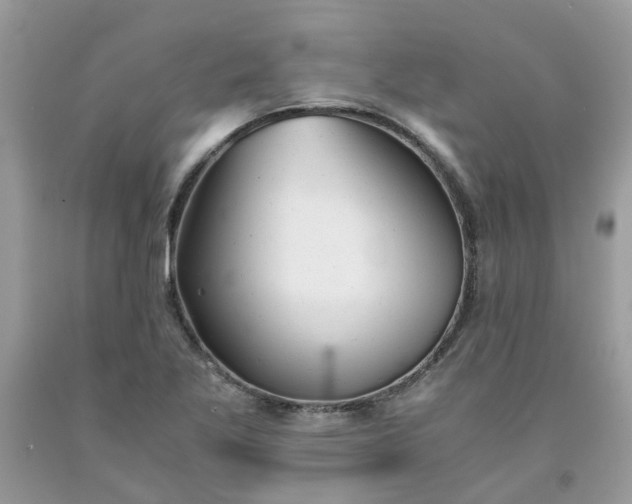 X0000091661269200709061012