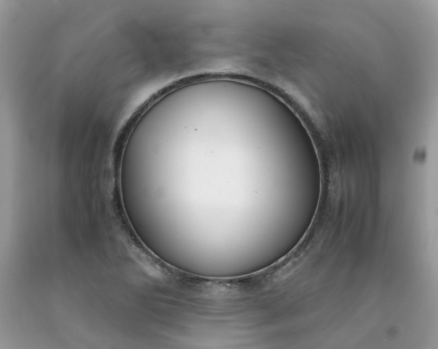 X0000091661270200709061012