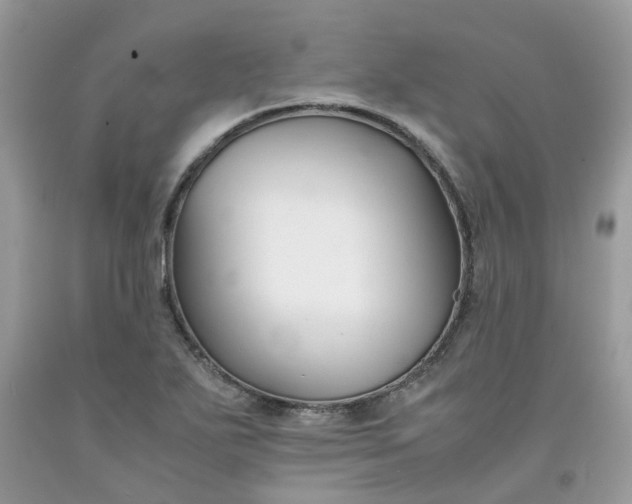 X0000091661271200709061012