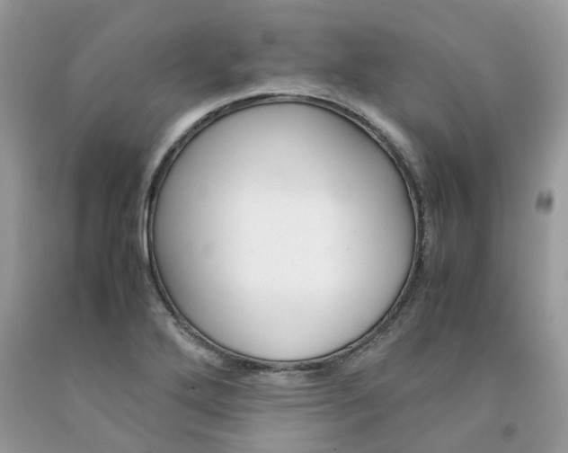 X0000091661272200709061012