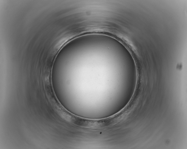 X0000091661273200709061012