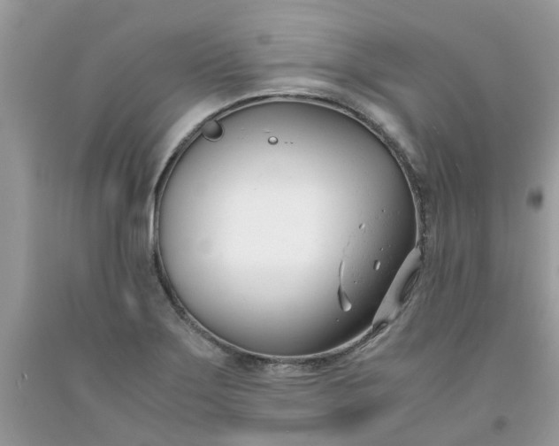 X0000091661275200709061012