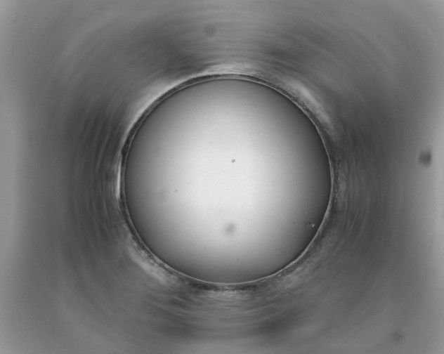 X0000091661276200709061012