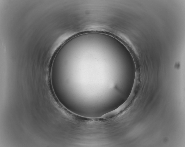 X0000091661277200709061012