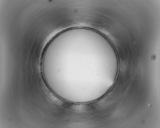 X0000091661278200709061012