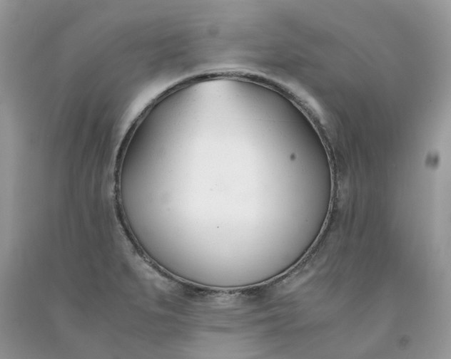 X0000091661279200709061012