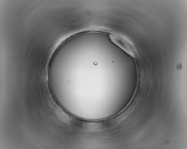 X0000091661280200709061012