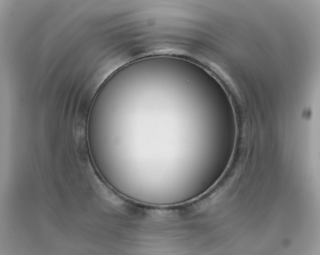 X0000091661281200709061012