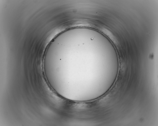 X0000091661282200709061012