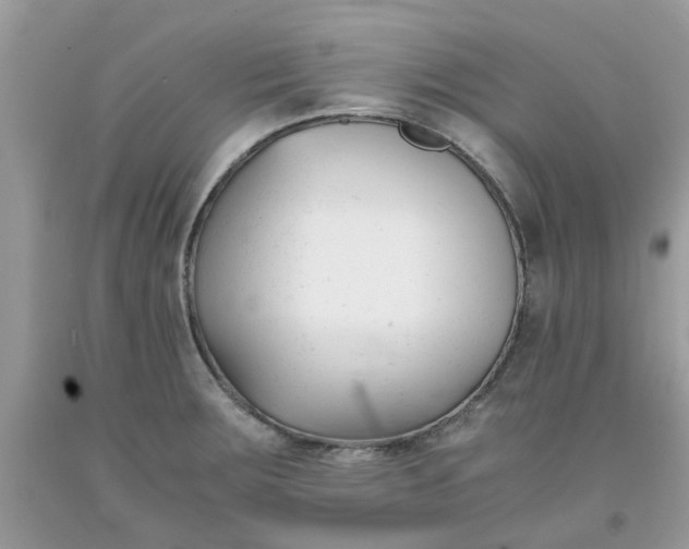 X0000091661283200709061012