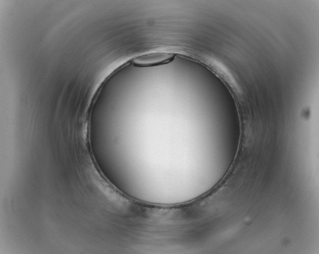 X0000091661284200709061012