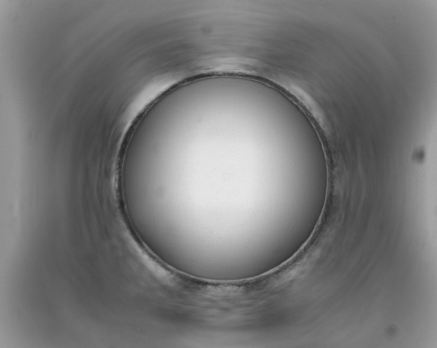 X0000091661285200709061012