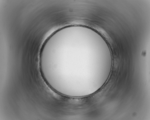 X0000091661286200709061012