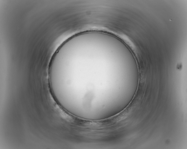 X0000091661287200709061012