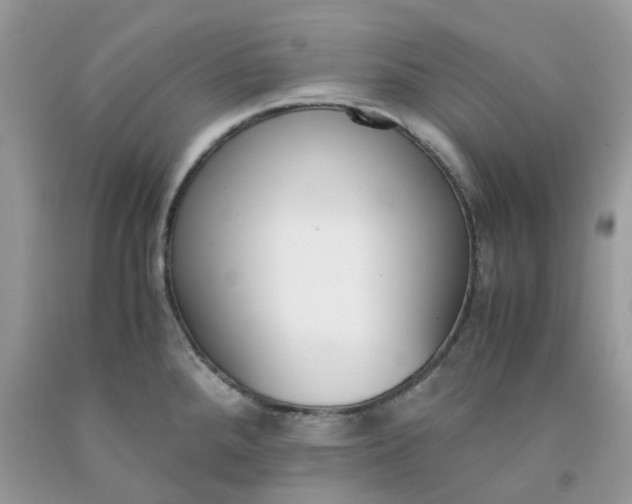 X0000091661288200709061012