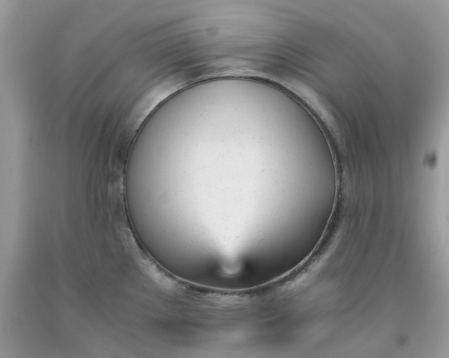 X0000091661289200709061012