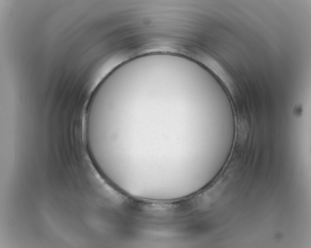 X0000091661290200709061012