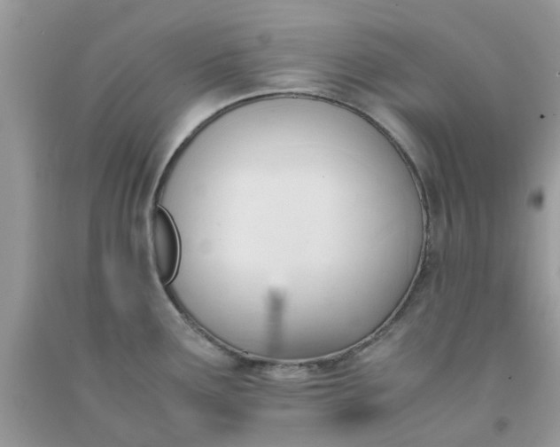 X0000091661291200709061012