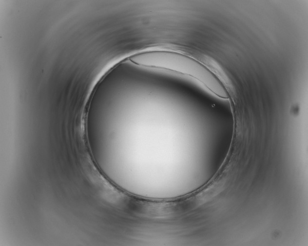 X0000091661292200709061012