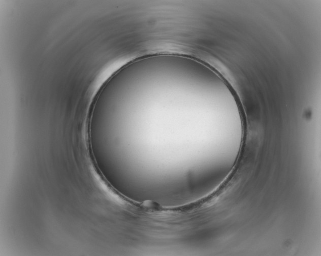 X0000091661293200709061012