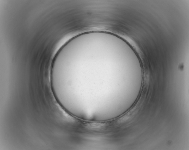 X0000091661294200709061012