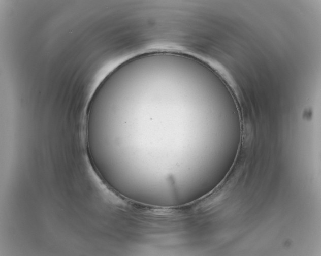 X0000091661295200709061012