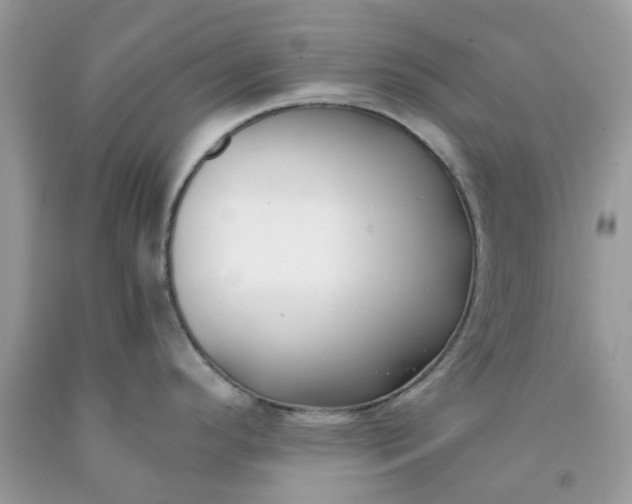 X0000091661296200709061012