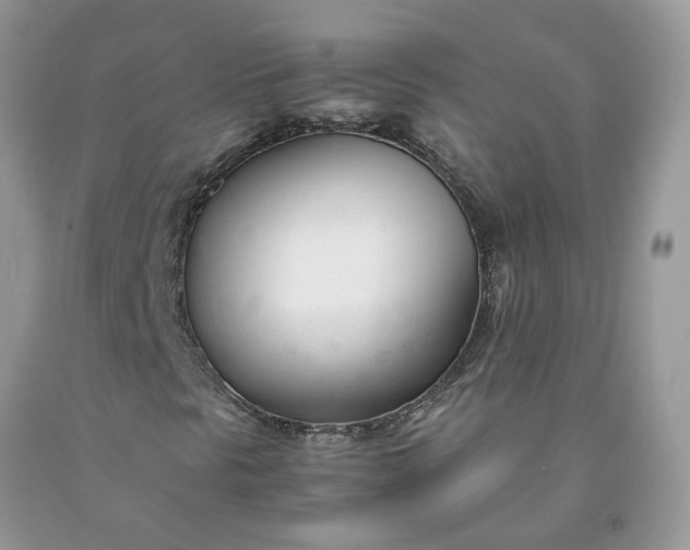 X0000091661297200709061011