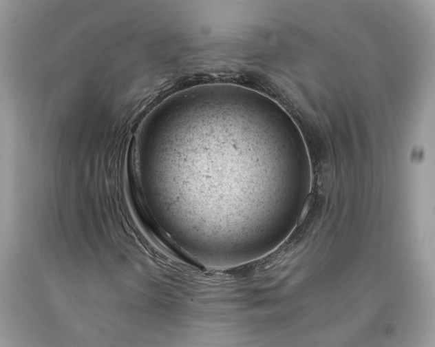 X0000091661298200709061011