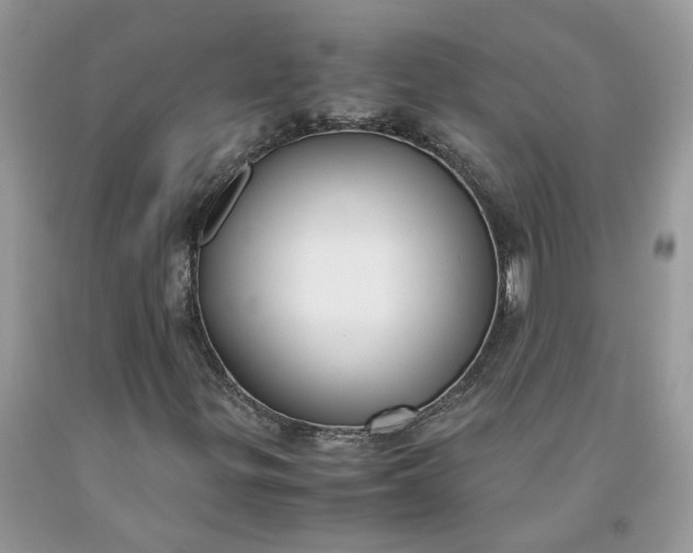 X0000091661299200709061011