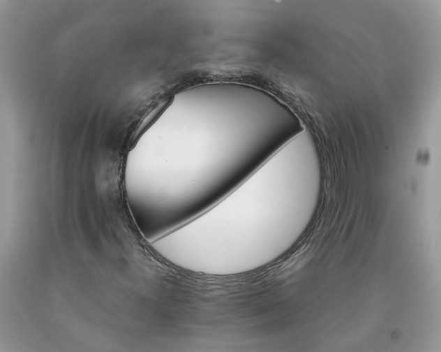 X0000091661300200709061012