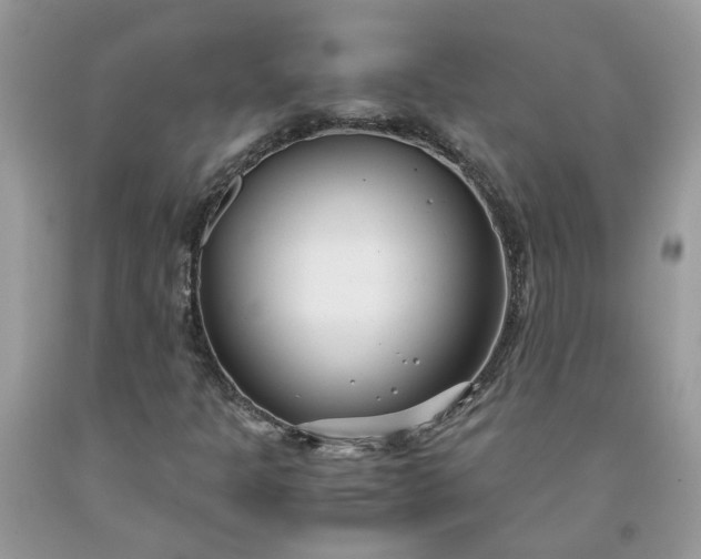 X0000091661301200709061012