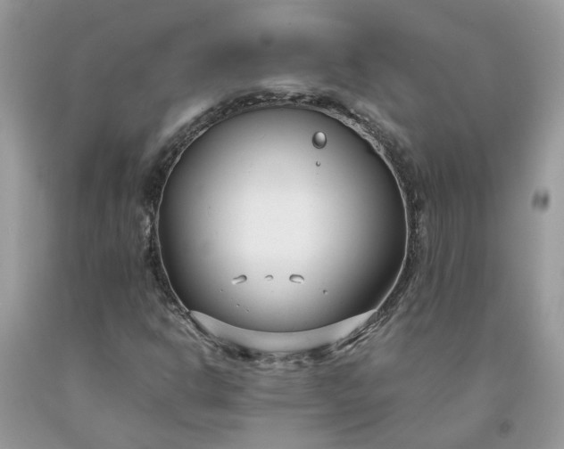 X0000091661302200709061012