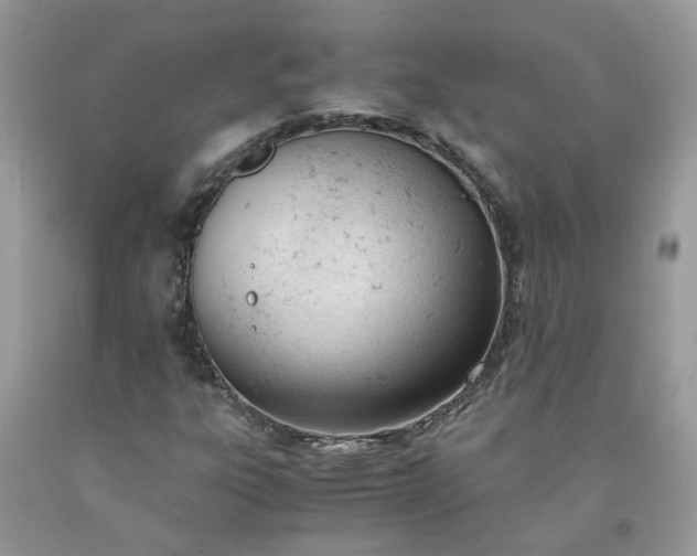 X0000091661303200709061012