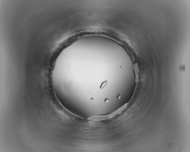 X0000091661304200709061012