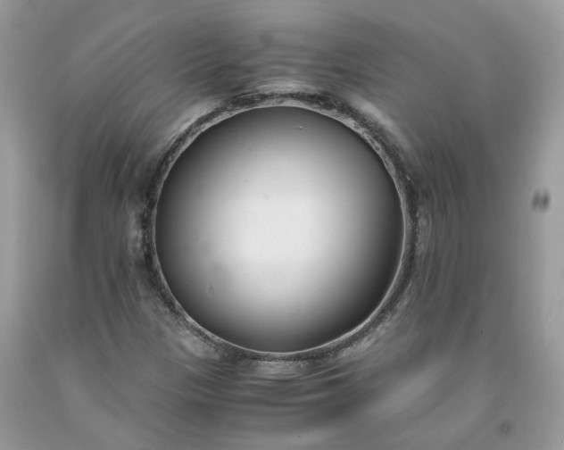 X0000091661305200709061012